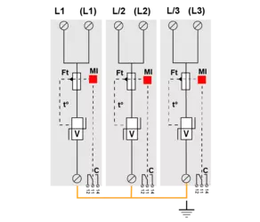 DS253E-300