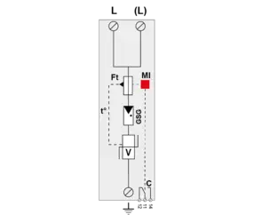 DS250VG-1000